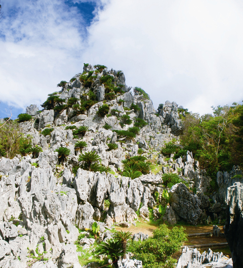 沖縄に行ったら絶対行きたい、沖縄最高峰の聖地＆パワースポット