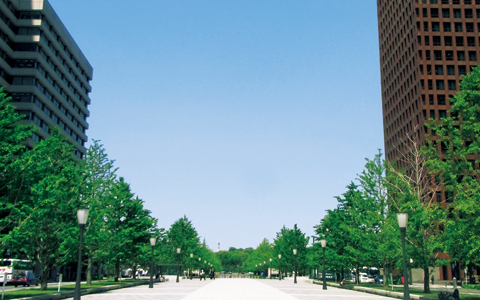 恋と仕事のピンチに駆け込み、知られざる都内のパワースポット