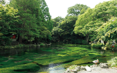 富士山パワーをもらえる神社で、新しい1年を迎えよう