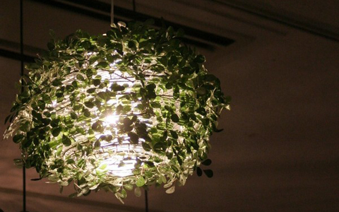 「森の光に迷い込む」リラクゼーション照明