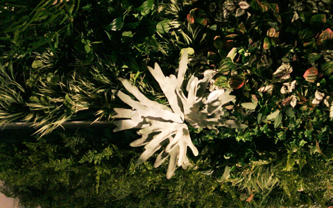 「森の光に迷い込む」リラクゼーション照明