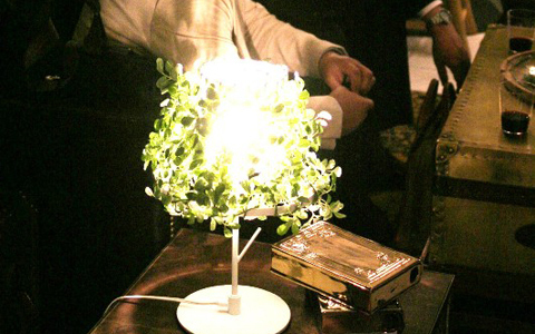 「森の光に迷い込む」リラクゼーション照明