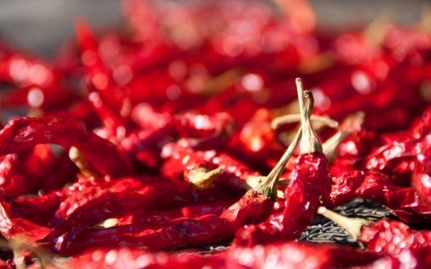 食べて痩せる　代謝アップ＆脂肪燃焼に効く食べ物とは