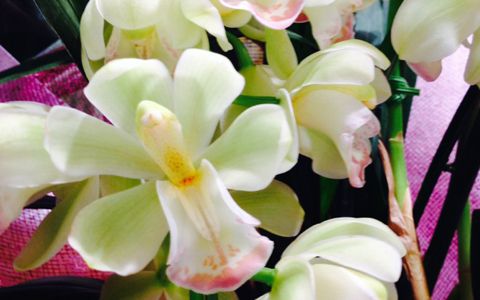 年末年始、太らないためのシンプル3つの心がけ