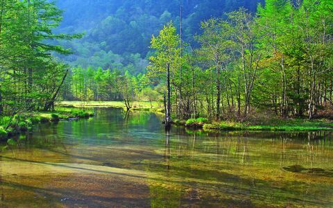 山登りのプロが初心者ＯＫの山を厳選！ 週末は信州の絶景山で山ガールデビュー