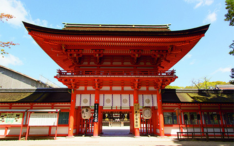 京都へ来たら、早起きしなくちゃ損！　パワスポも満喫できる朝さんぽのススメ