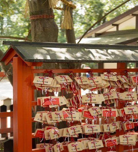 京都へ来たら、早起きしなくちゃ損！　パワスポも満喫できる朝さんぽのススメ