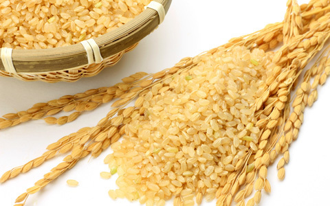 海外セレブも夢中なグルテンフリーダイエットって？