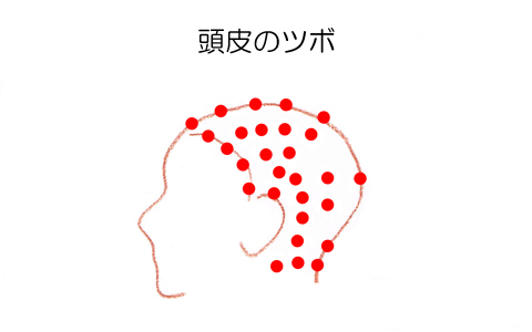 忙しい毎日でも、潤いのある髪の毛をキープする方法