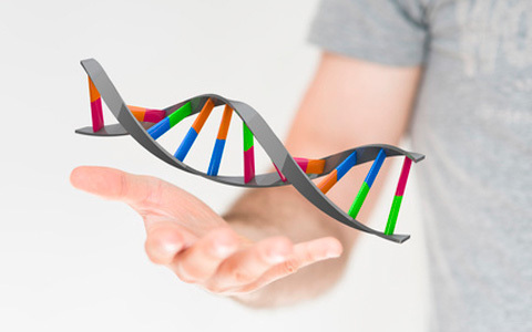 安全はどこへ…実はみんな食べている遺伝子組み換え食品