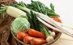 野菜ジュースの効果を専門家に聞く。健康に効果ありのとり方