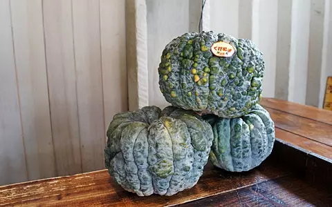 秋晴れは絶好のジェラート日和＠湘南のジェラテリアSE1