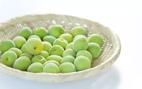 人気沸騰のサントリーの透明梅酒「澄みわたる梅酒」、ついに再販売開始！