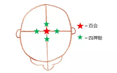 痩せやすい体質をめざし、生理サイクルダイエットをしよう