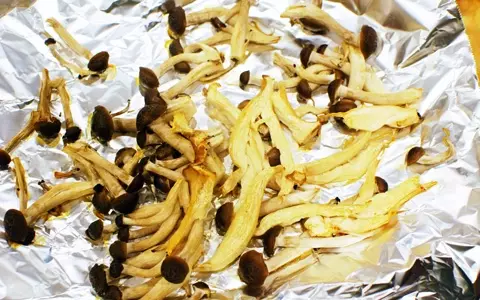 OL弁当レシピ「きのことサーモンのちらし寿司弁当」