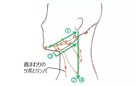 ダイエットでもどうにもならない二重アゴ！ すっきりさせる必殺技とは？