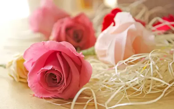 伝え方で偏見を超えられる？【伝え方が9割】