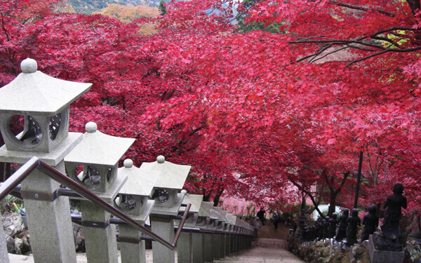 紅葉狩りトレッキングへ出かけよう！ 初心者にもおすすめ、紅葉が美しい山はコチラ