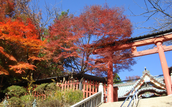 紅葉狩りトレッキングへ出かけよう！ 初心者にもおすすめ、紅葉が美しい山はコチラ