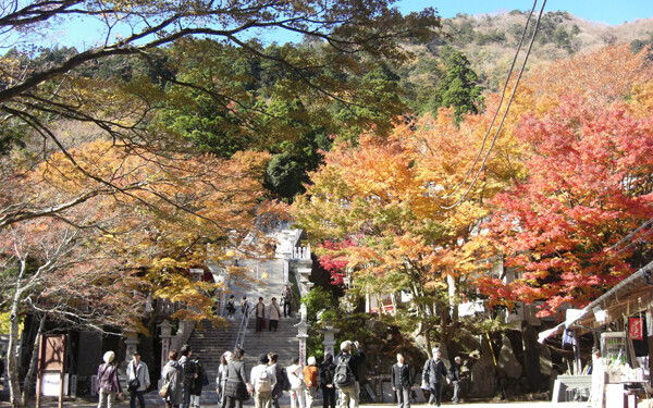 紅葉狩りトレッキングへ出かけよう！ 初心者にもおすすめ、紅葉が美しい山はコチラ