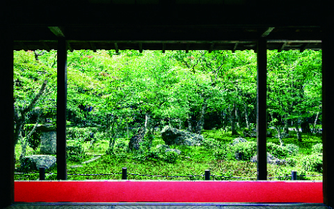 ひとり旅が断然おすすめ、最新・京都の楽しみ方とは?