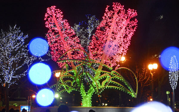 イルミネーションをスマホで上手に撮るコツとは？　編集部おすすめイルミネーション9つもご紹介します