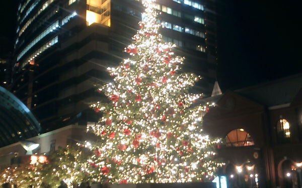 イルミネーションをスマホで上手に撮るコツとは？　編集部おすすめイルミネーション9つもご紹介します