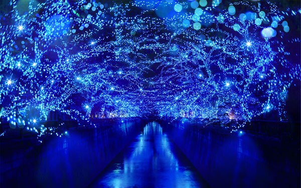 イルミネーションをスマホで上手に撮るコツとは？　編集部おすすめイルミネーション9つもご紹介します