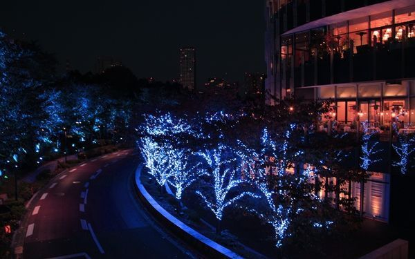もうすぐクリスマス。うっとりするほど美しい、都内のイルミネーションはこちら