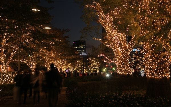 もうすぐクリスマス。うっとりするほど美しい、都内のイルミネーションはこちら
