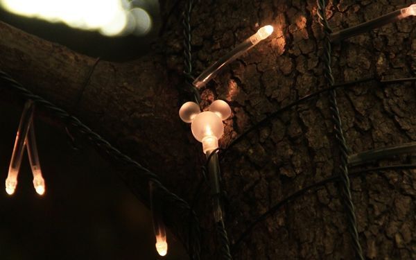 もうすぐクリスマス。うっとりするほど美しい、都内のイルミネーションはこちら