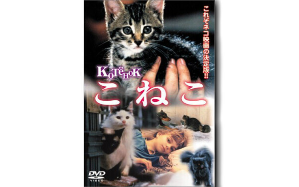 猫たちの名演技を観よ！　ロシア発、猫映画の決定版『こねこ』【映画ライター渡まち子の「猫目線」映画レビュー3】