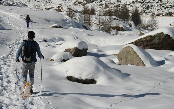 スノーシュー トレッキングって知ってる？ この冬は白銀の世界を堪能しよう！