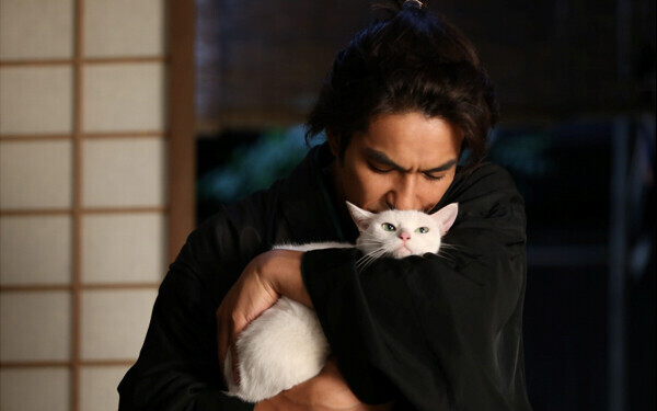 可愛すぎる白猫【玉乃丞さま】に萌える！動物癒し時代劇『猫侍』【映画ライター渡まち子の「猫目線」映画レビュー4】