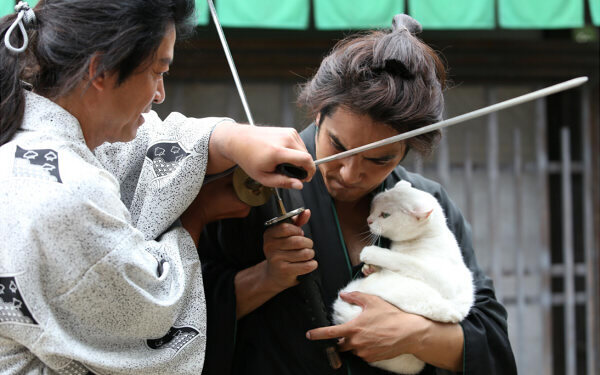 可愛すぎる白猫【玉乃丞さま】に萌える！動物癒し時代劇『猫侍』【映画ライター渡まち子の「猫目線」映画レビュー4】