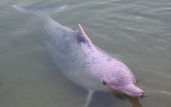 国内外の最強パワースポットで、2015年の"恋愛力"アップ！