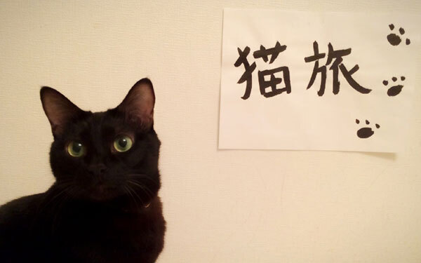 猫と売れないフォーク・シンガーの旅物語 『インサイド・ルーウィン・デイヴィス 名もなき男の歌』【映画ライター渡まち子の「猫目線」映画レビュー5】