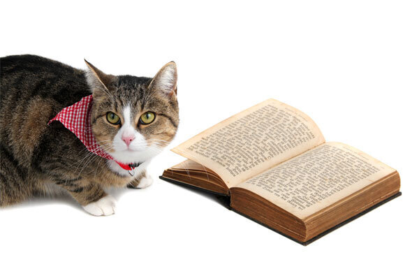 1月26日～2月1日の週間運勢ランキング！ 1位の星座は…？ 