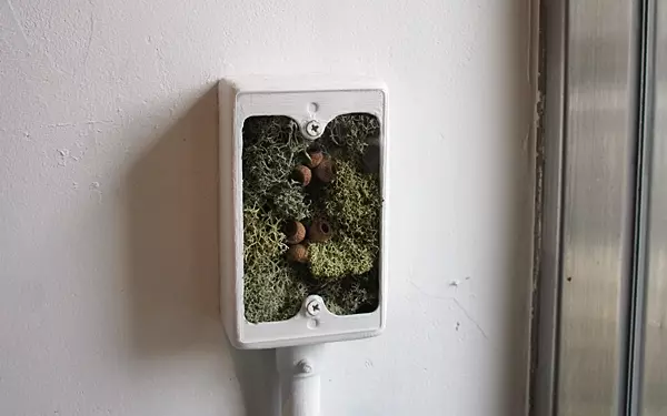 卵と乳製品不使用なのにほっこりおいしいスイーツカフェ＆雑貨店＠西荻窪 tri