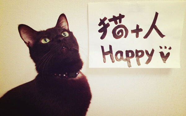 これぞニャンダフルライフ！ 猫と暮らす幸せを感じる『グーグーだって猫である』【映画ライター渡まち子の「猫目線」映画レビュー8】