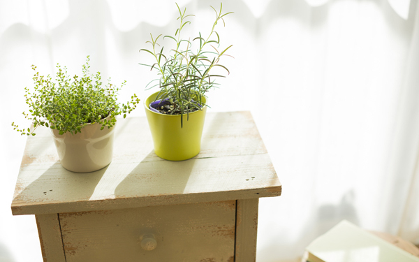 鬼門に置くもので逆に運気をアップさせよう！【Dr.コパ伝授】