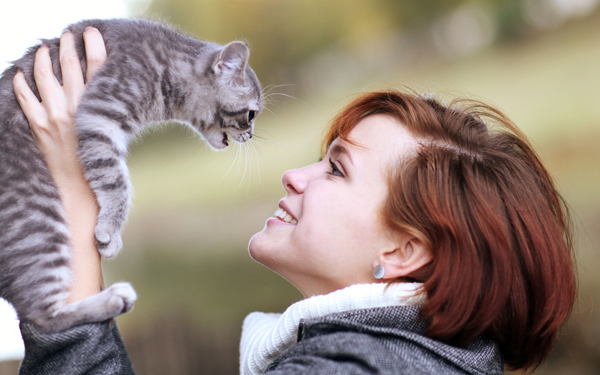 恐るべし猫ネットワーク！ 大人気児童文学の映画化『ネコのミヌース』【映画ライター渡まち子の「猫目線」映画レビュー9】
