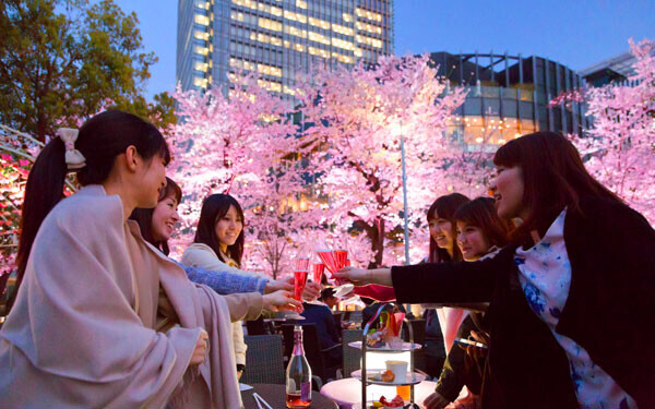 桜の満開間近 お花見女子会ができる都内のレストラン ラウンジをチョイス ウーマンエキサイト 1 2