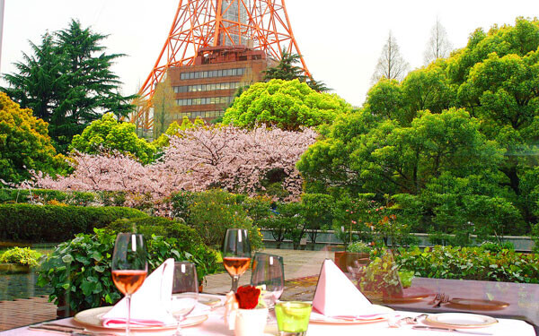 桜の満開間近 お花見女子会ができる都内のレストラン ラウンジをチョイス ウーマンエキサイト 2 2