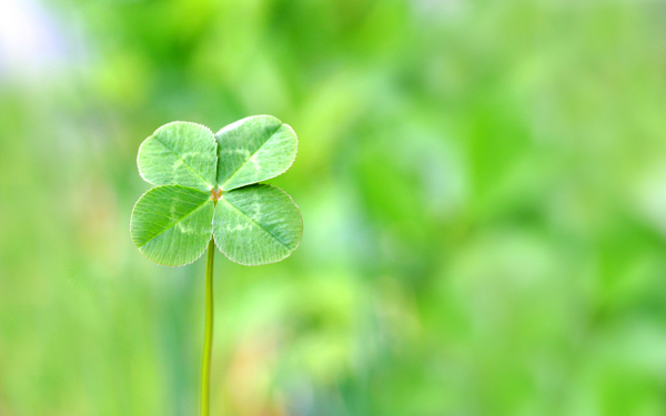 ポジティブ思考は人生を素敵にするツールですが、万能薬ではありません 【心屋仁之助 塾】