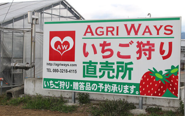 春はいちご狩りデートに行こう！ 電車で行けて駅からも近い「いちご農園」2選
