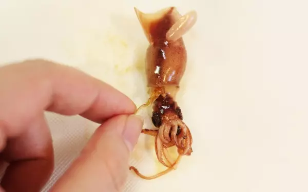 ホタルイカの脱オヤジレシピ。女子はホタルイカをパスタと食べるべし！