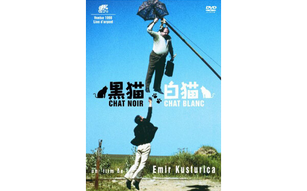 バカだニャ～、人間って！ 『黒猫・白猫』【映画ライター渡まち子の「猫目線」映画レビュー14】
