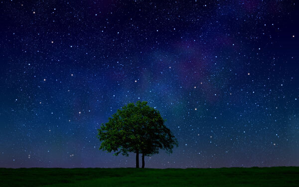 5月18日～5月24日の週間運勢ランキング！ 1位の星座は…？