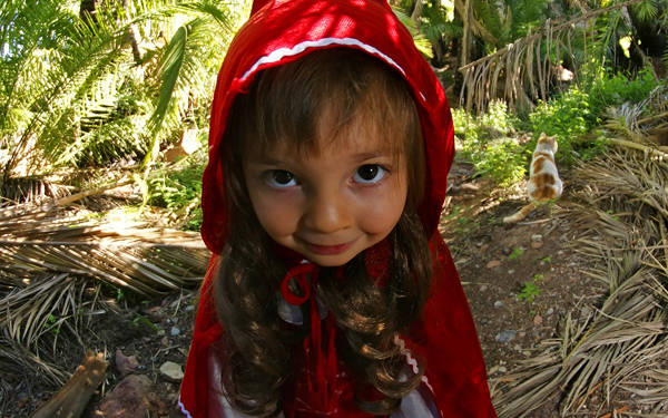 赤ずきんちゃんと黒歴史【彼氏の顔が覚えられません 第27話】